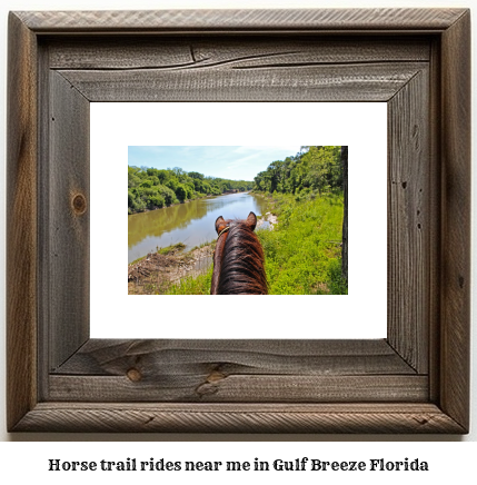 horse trail rides near me in Gulf Breeze, Florida